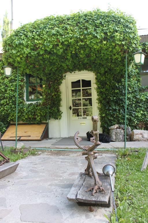Hosteria De La Patagonia チレチコ エクステリア 写真